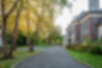 241016_ZavagliaFall_3981.jpg